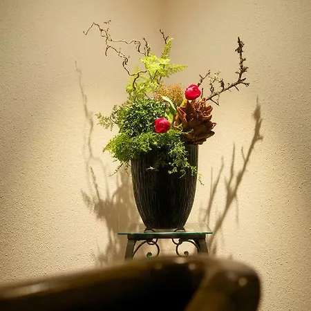 Staufengluck-appartements Apartment *